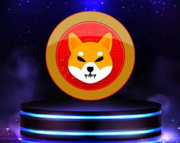 Активность на Shibarium, сети второго уровня Ethereum от Shiba Inu, резко упала