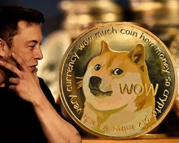 Dogecoin обошла Cardano в топ